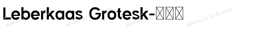 Leberkaas Grotesk字体转换